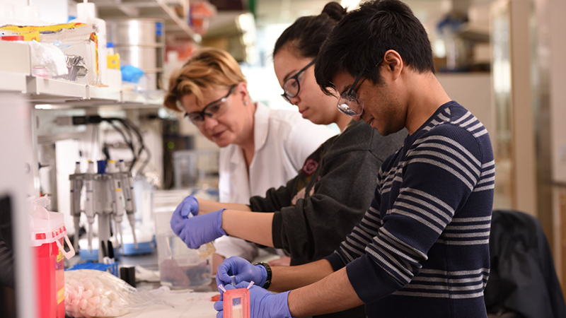 students working in lab