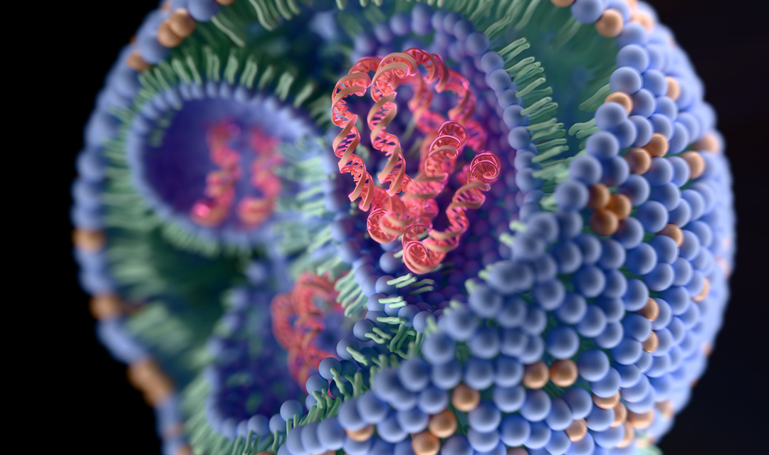 illustration of cell